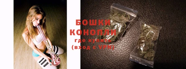 шишки Краснослободск