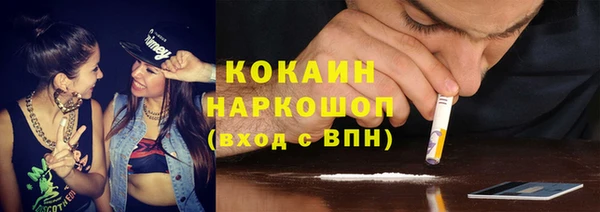 шишки Краснослободск