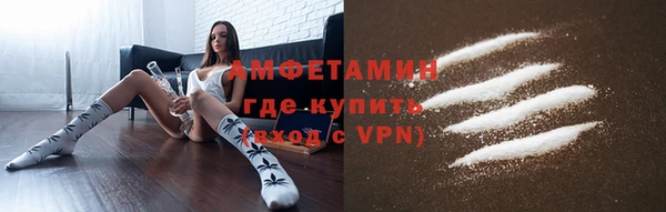 шишки Краснослободск