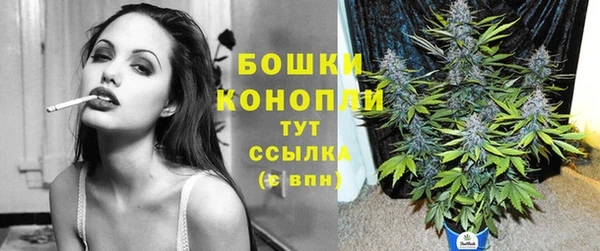 шишки Краснослободск
