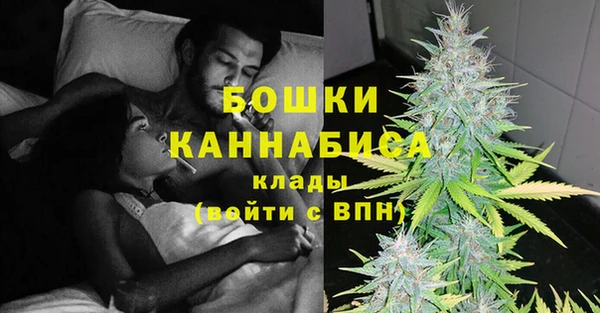 шишки Краснослободск