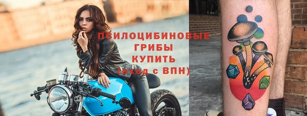 шишки Краснослободск